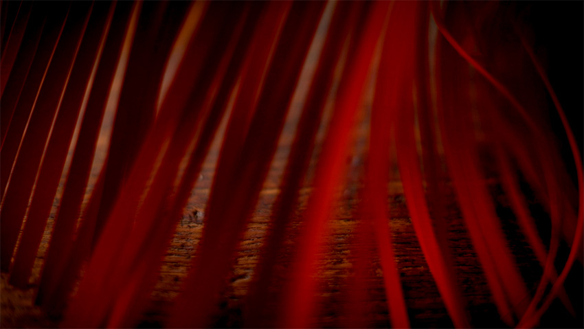 Strips of red paper in front of a lens